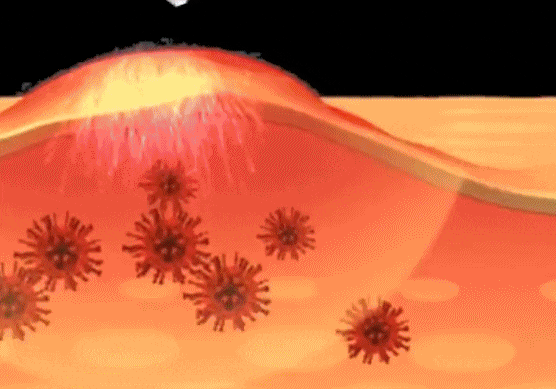 1755095474739336.gif