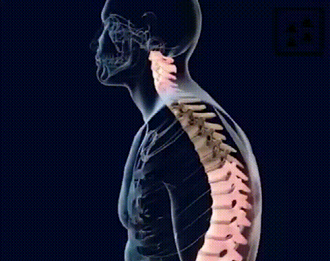 1764425943147660.gif